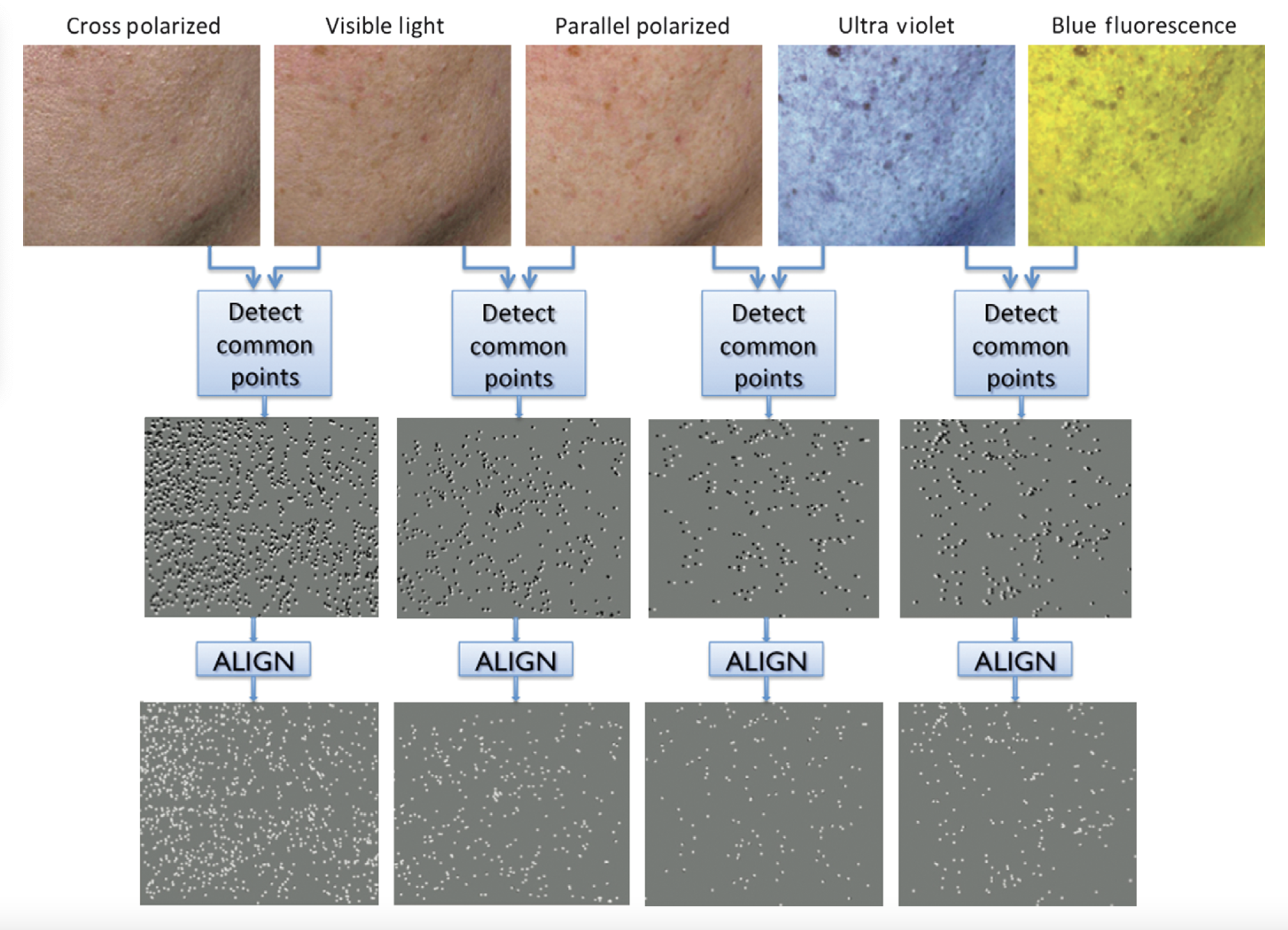 Skin image registration example