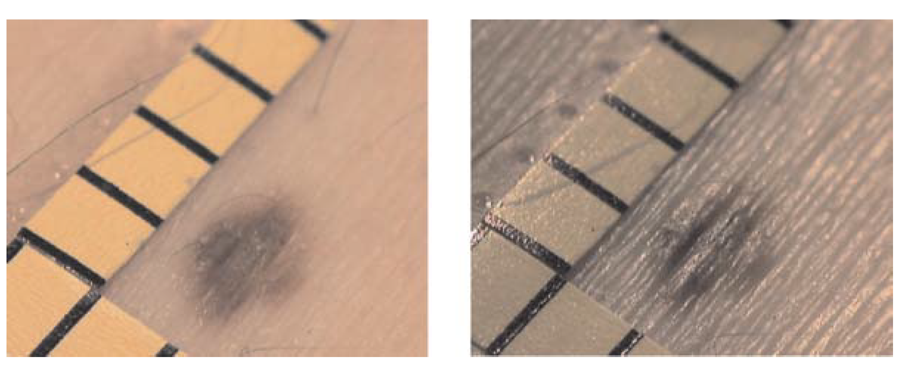 Skin texture classifier visualization
